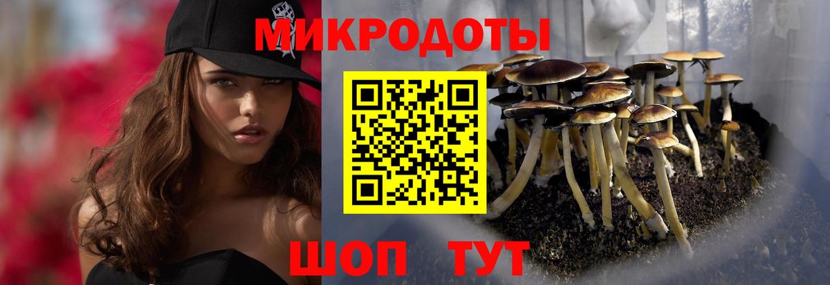 Галлюциногенные грибы GOLDEN TEACHER  Вход с VPN  Междуреченск  Псилоцибиновые грибы Magic Shrooms 