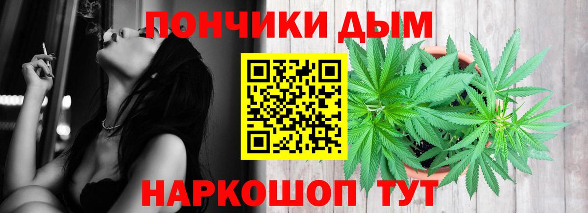 Шишки марихуана сатива Междуреченск